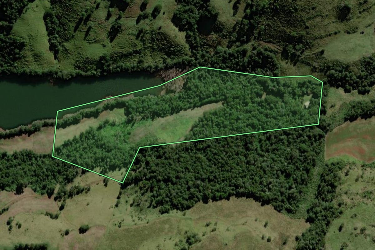 Imagem de satélite do imóvel rural em Chopinzinho (PR), com o contorno declarado no CAR desenhado por cima.
