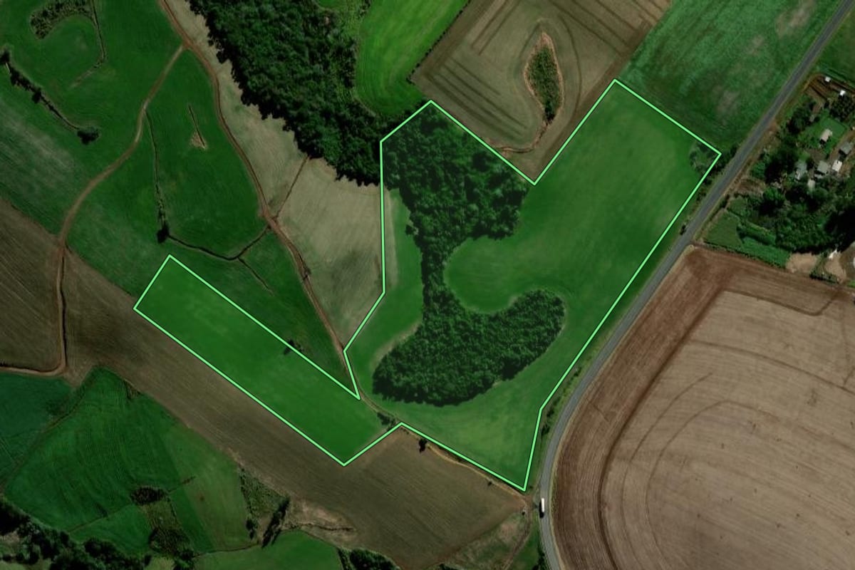Imagem de satélite do imóvel rural em Chopinzinho (PR), com o contorno declarado no CAR desenhado por cima.