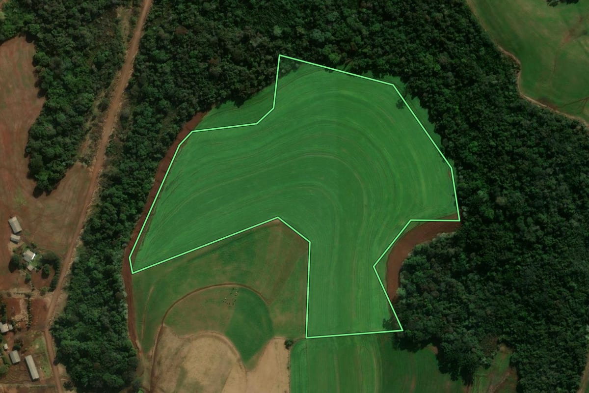 Imagem de satélite do imóvel rural em Chopinzinho (PR), com o contorno declarado no CAR desenhado por cima.