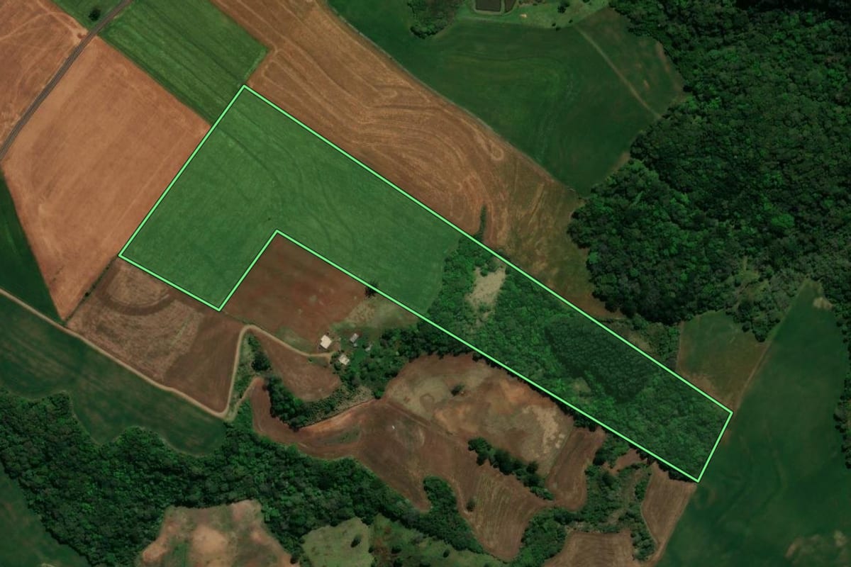 Imagem de satélite do imóvel rural em Chopinzinho (PR), com o contorno declarado no CAR desenhado por cima.
