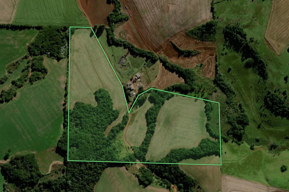 Imagem de satélite do imóvel rural em Chopinzinho (PR), com o contorno declarado no CAR desenhado por cima.