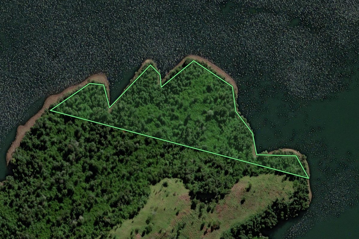 Imagem de satélite do imóvel rural em Chopinzinho (PR), com o contorno declarado no CAR desenhado por cima.