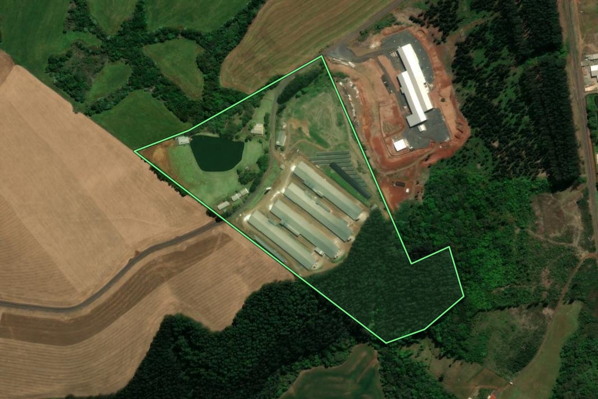 Imagem de satélite do imóvel rural em Chopinzinho (PR), com o contorno declarado no CAR desenhado por cima.