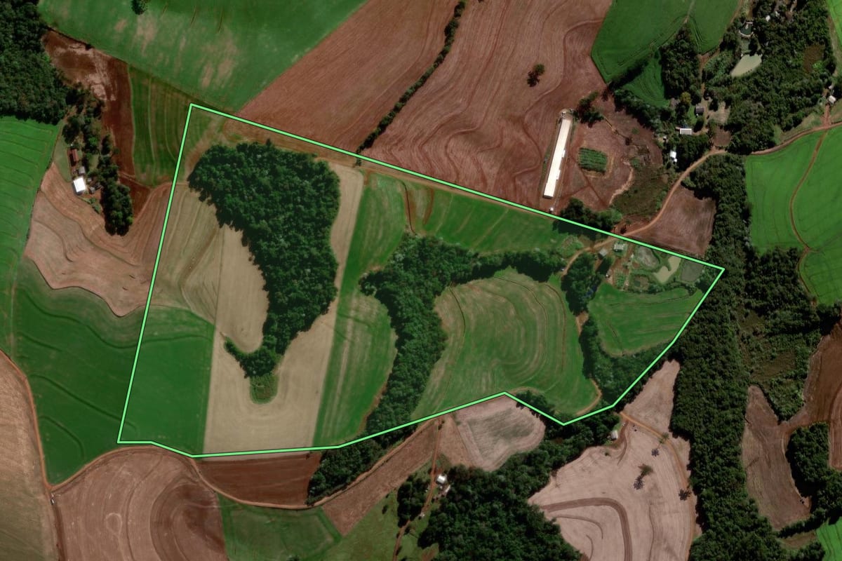 Imagem de satélite do imóvel rural em Chopinzinho (PR), com o contorno declarado no CAR desenhado por cima.