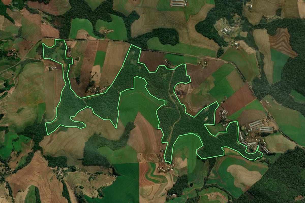Imagem de satélite do imóvel rural em Chopinzinho (PR), com o contorno declarado no CAR desenhado por cima.