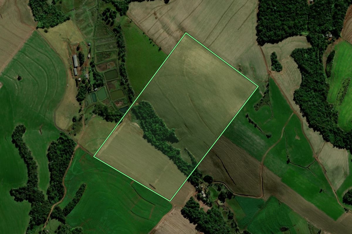 Imagem de satélite do imóvel rural em Chopinzinho (PR), com o contorno declarado no CAR desenhado por cima.