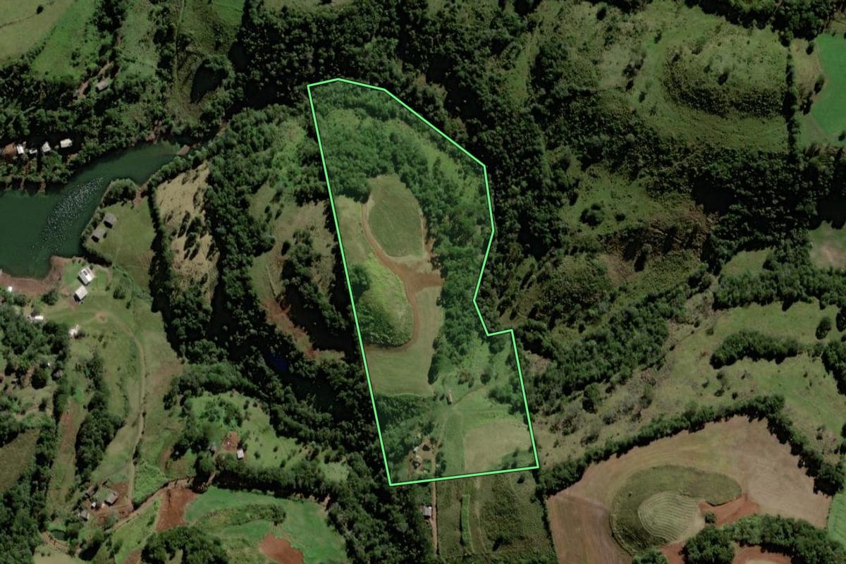 Imagem de satélite do imóvel rural em Chopinzinho (PR), com o contorno declarado no CAR desenhado por cima.