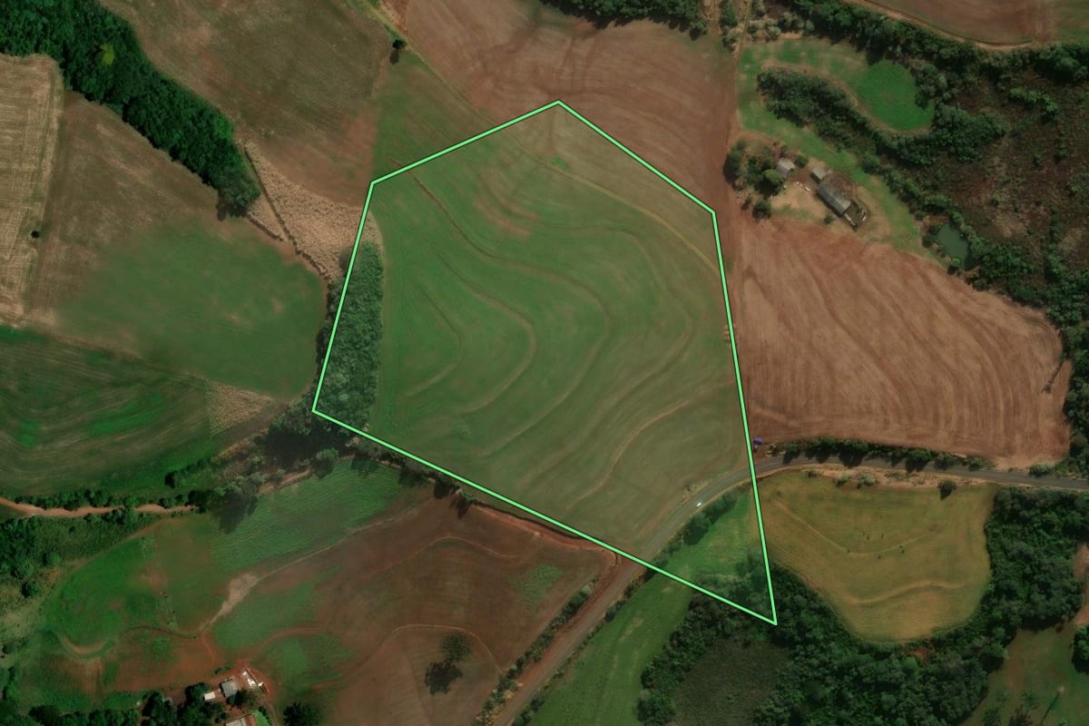 Imagem de satélite do imóvel rural em Chopinzinho (PR), com o contorno declarado no CAR desenhado por cima.