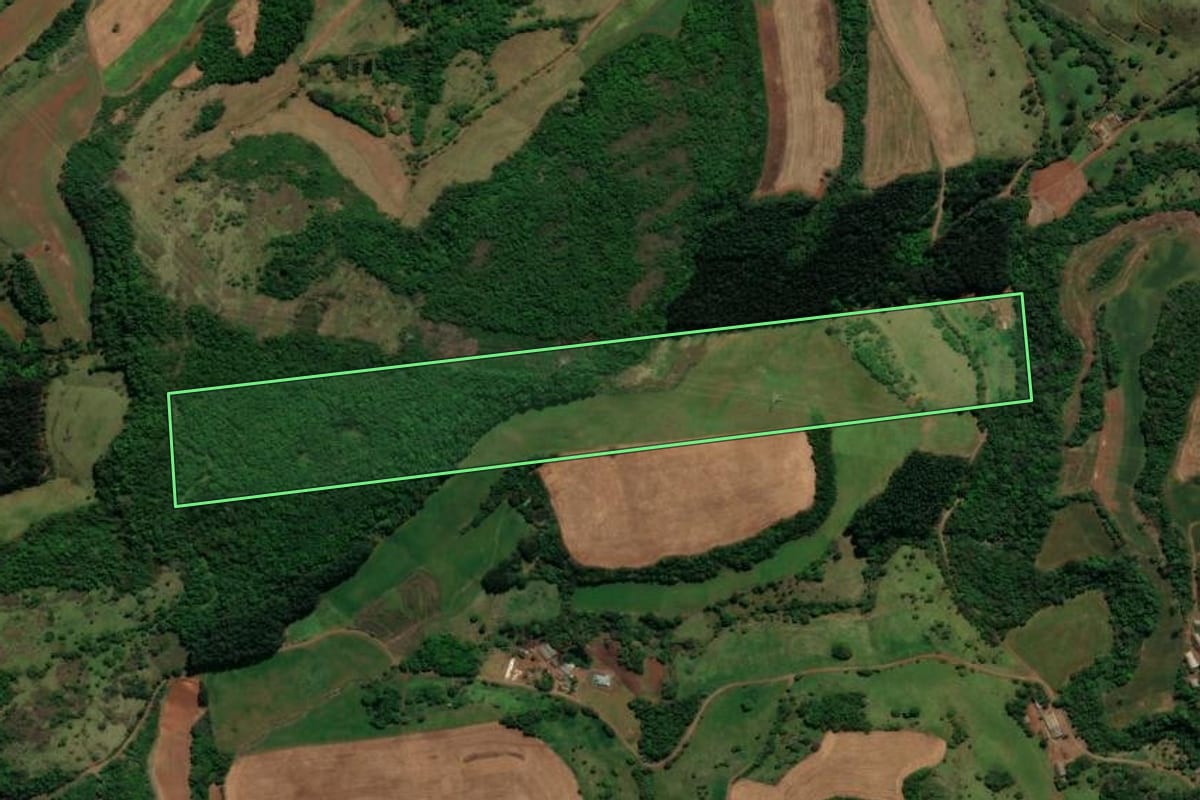 Imagem de satélite do imóvel rural em Chopinzinho (PR), com o contorno declarado no CAR desenhado por cima.