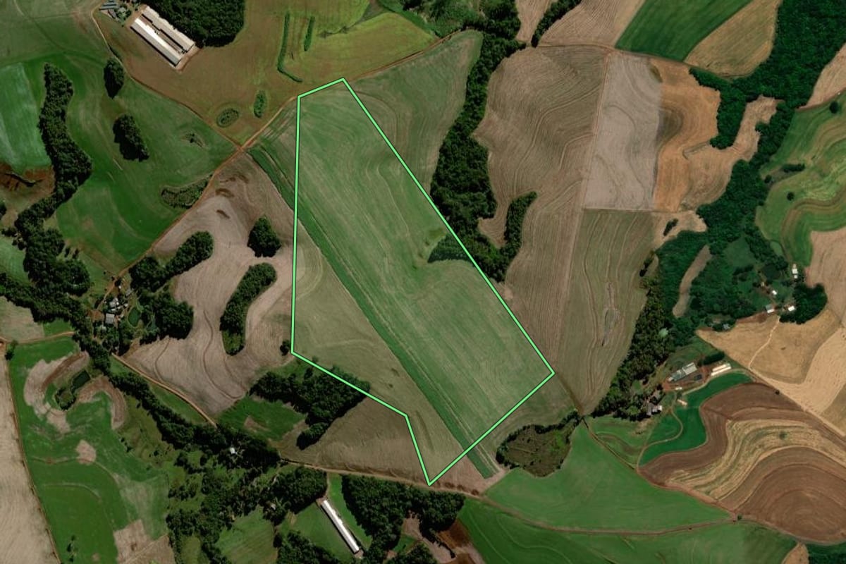 Imagem de satélite do imóvel rural em Chopinzinho (PR), com o contorno declarado no CAR desenhado por cima.