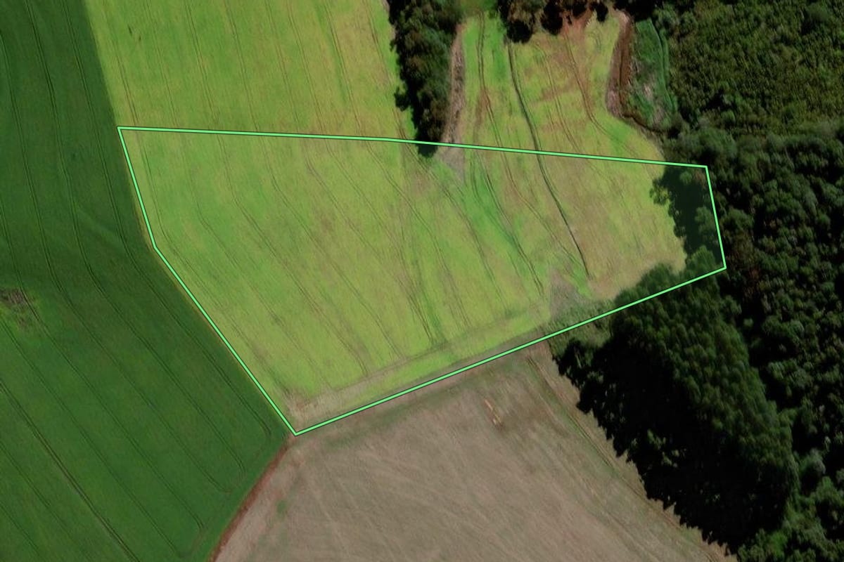 Imagem de satélite do imóvel rural em Chopinzinho (PR), com o contorno declarado no CAR desenhado por cima.