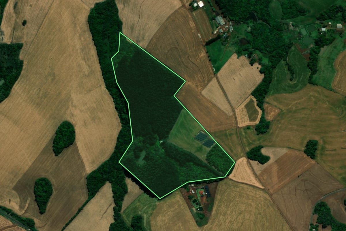 Imagem de satélite do imóvel rural em Chopinzinho (PR), com o contorno declarado no CAR desenhado por cima.