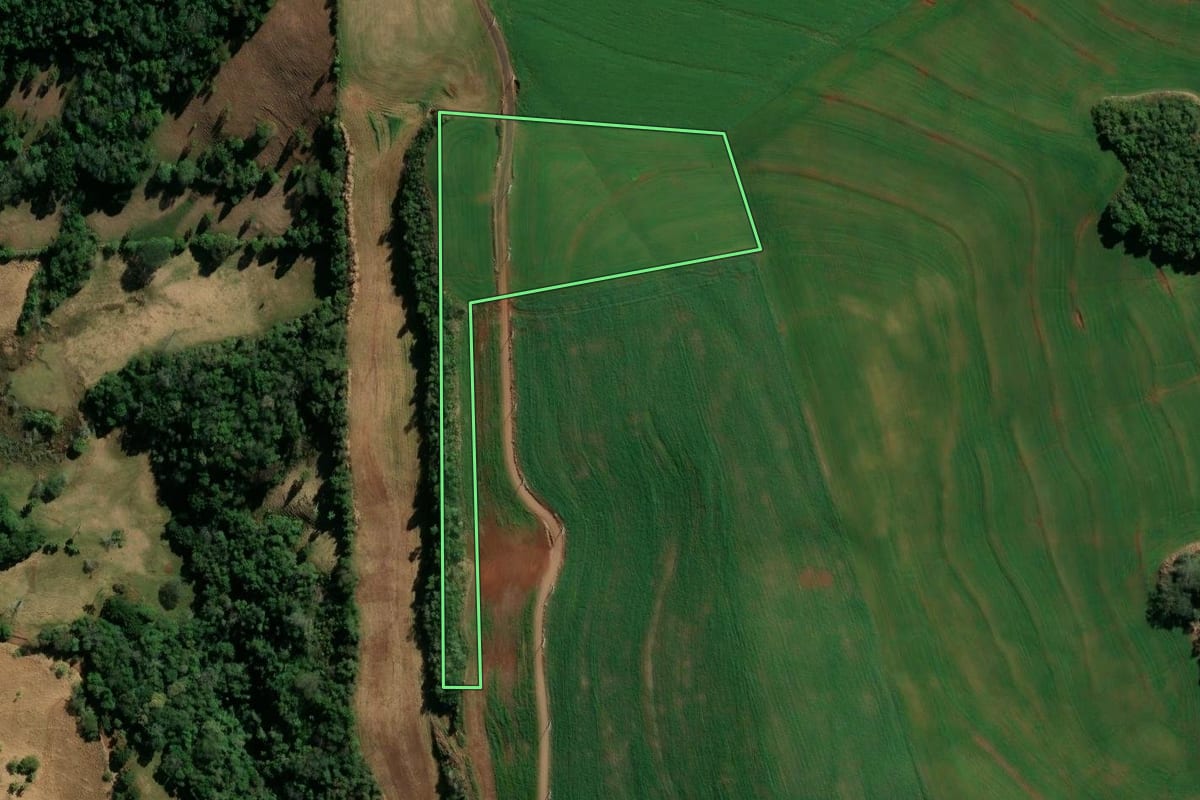 Imagem de satélite do imóvel rural em Chopinzinho (PR), com o contorno declarado no CAR desenhado por cima.