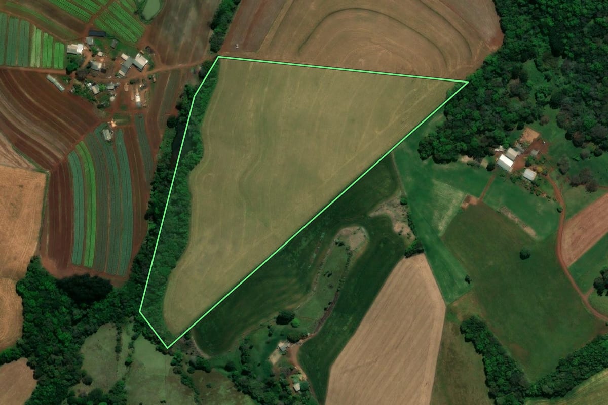 Imagem de satélite do imóvel rural em Chopinzinho (PR), com o contorno declarado no CAR desenhado por cima.
