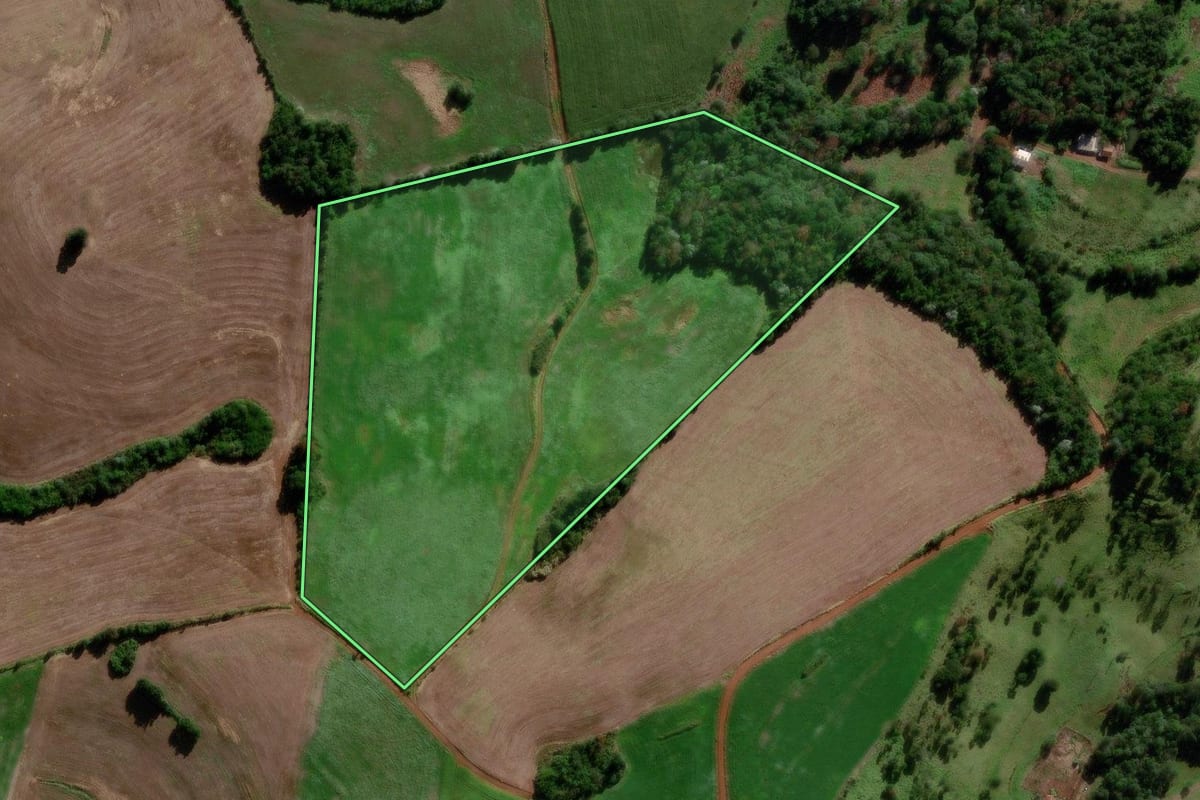 Imagem de satélite do imóvel rural em Chopinzinho (PR), com o contorno declarado no CAR desenhado por cima.