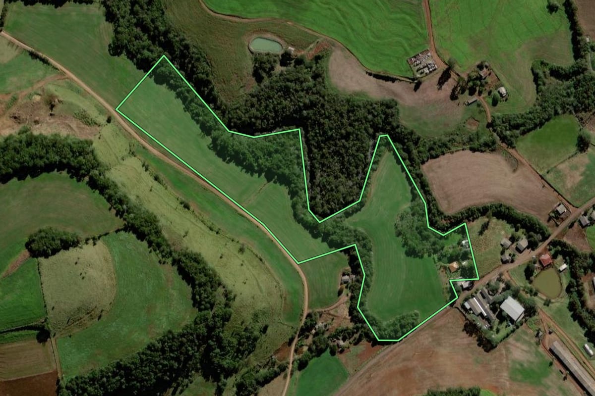 Imagem de satélite do imóvel rural em Chopinzinho (PR), com o contorno declarado no CAR desenhado por cima.