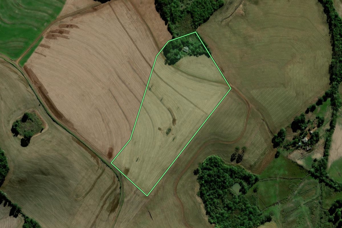 Imagem de satélite do imóvel rural em Chopinzinho (PR), com o contorno declarado no CAR desenhado por cima.