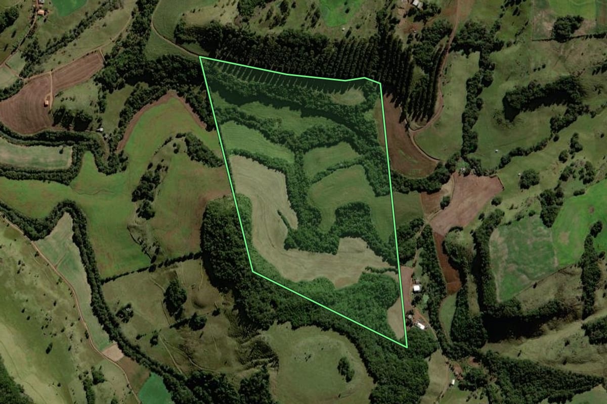 Imagem de satélite do imóvel rural em Chopinzinho (PR), com o contorno declarado no CAR desenhado por cima.