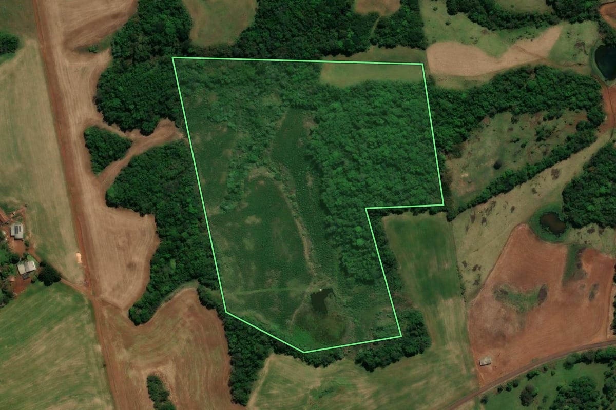 Imagem de satélite do imóvel rural em Chopinzinho (PR), com o contorno declarado no CAR desenhado por cima.