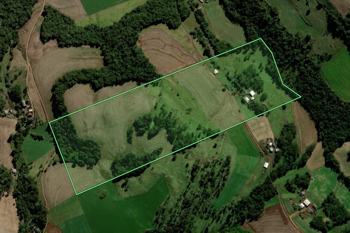 Imagem de satélite do imóvel rural em Chopinzinho (PR), com o contorno declarado no CAR desenhado por cima.