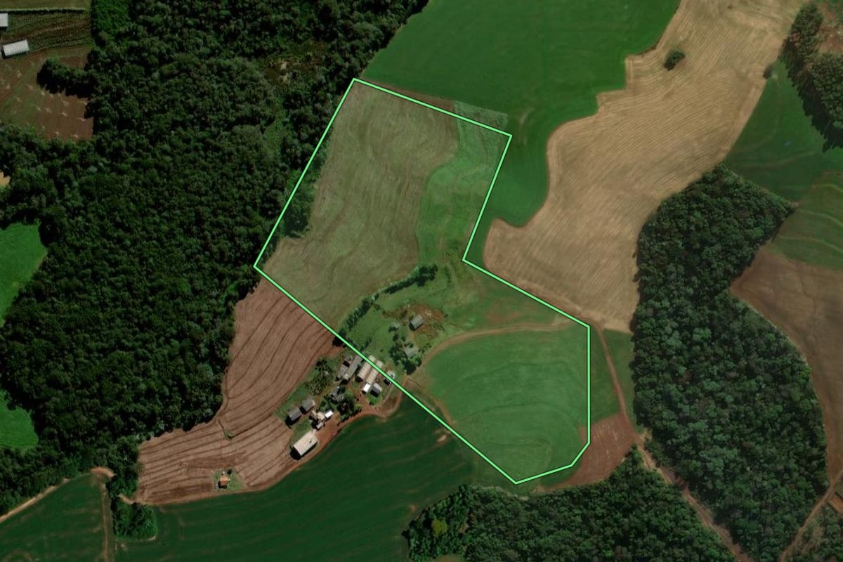 Imagem de satélite do imóvel rural em Chopinzinho (PR), com o contorno declarado no CAR desenhado por cima.