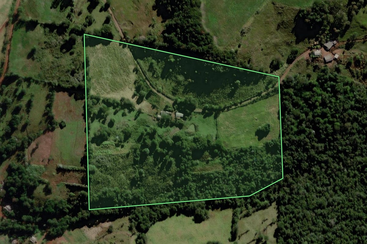 Imagem de satélite do imóvel rural em Chopinzinho (PR), com o contorno declarado no CAR desenhado por cima.