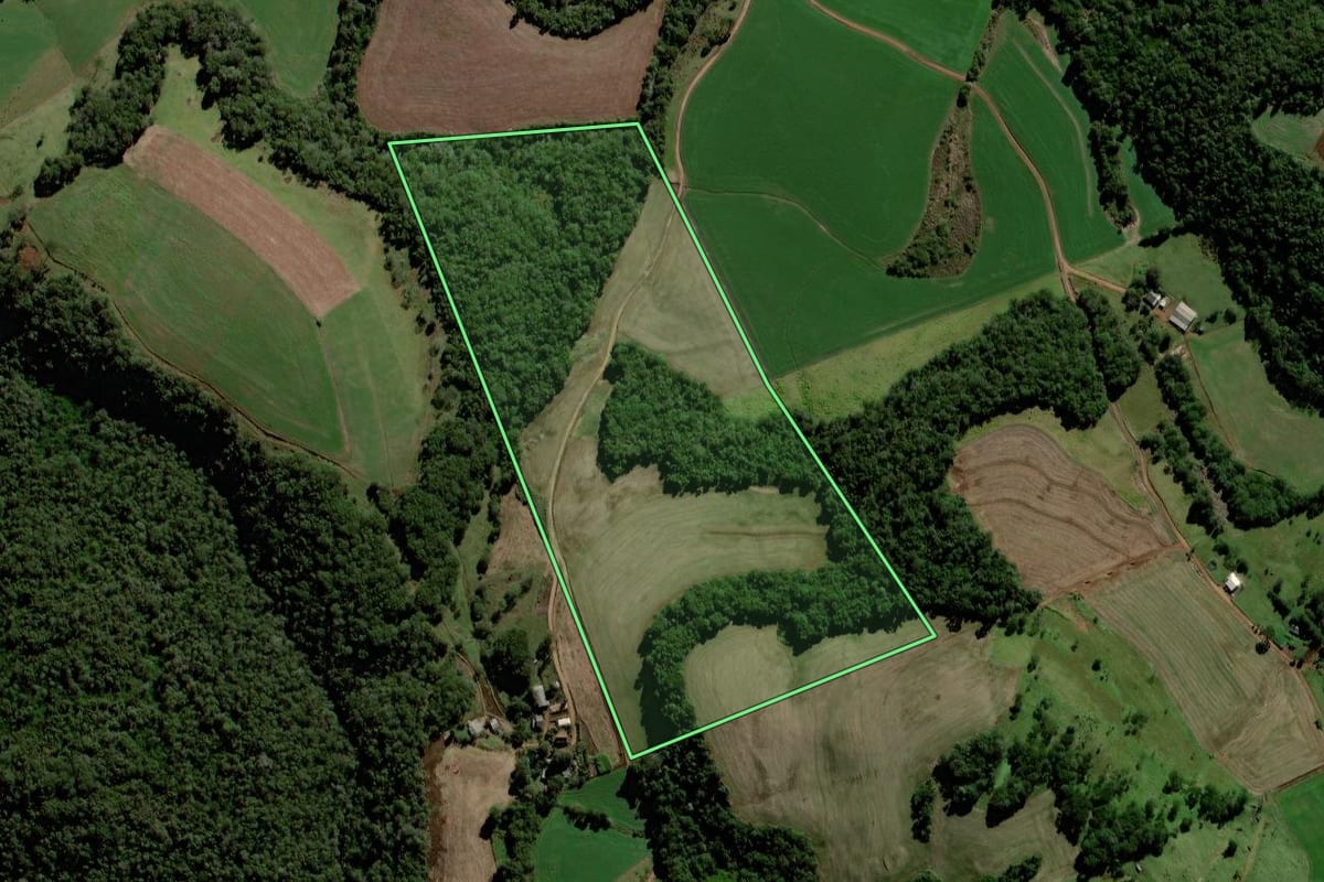 Imagem de satélite do imóvel rural em Chopinzinho (PR), com o contorno declarado no CAR desenhado por cima.