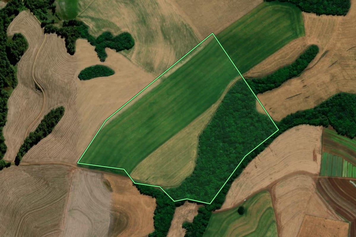 Imagem de satélite do imóvel rural em Chopinzinho (PR), com o contorno declarado no CAR desenhado por cima.