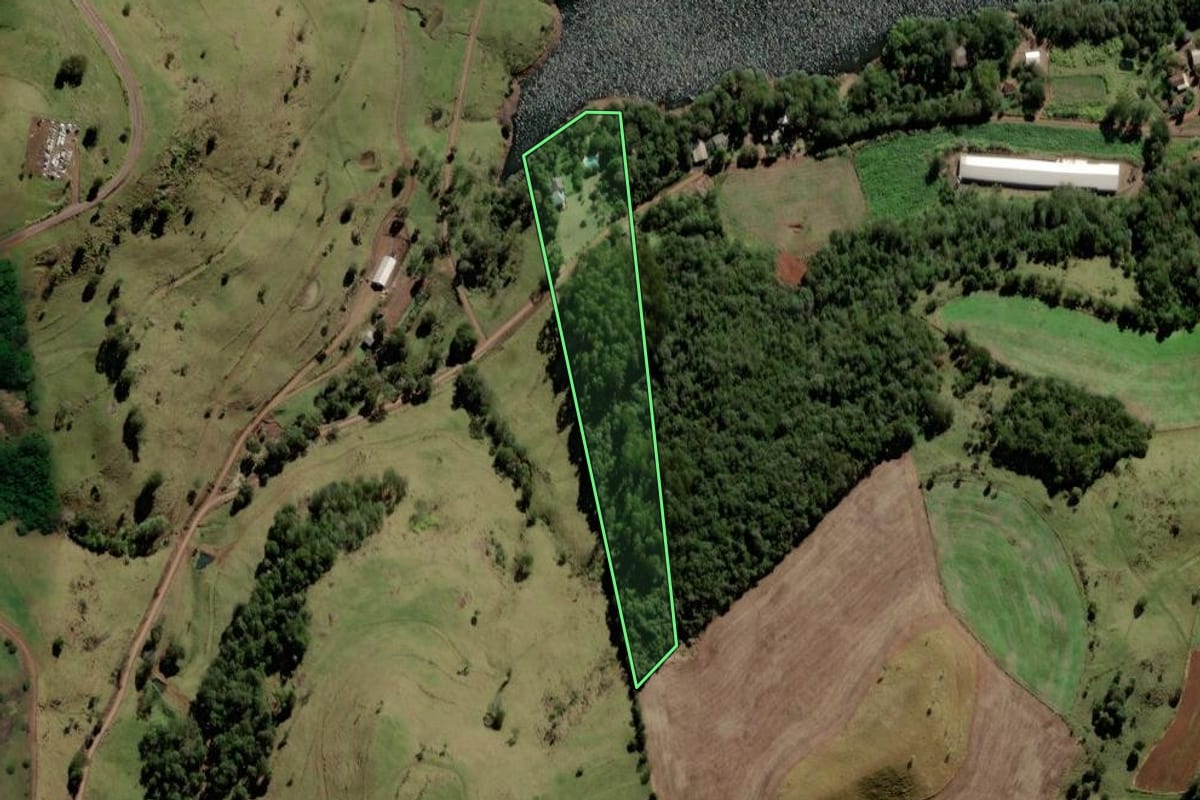Imagem de satélite do imóvel rural em Chopinzinho (PR), com o contorno declarado no CAR desenhado por cima.