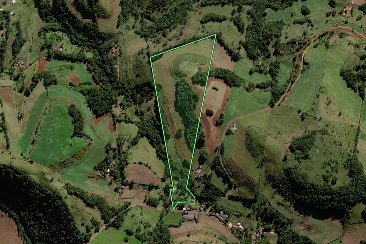 Imagem de satélite do imóvel rural em Chopinzinho (PR), com o contorno declarado no CAR desenhado por cima.