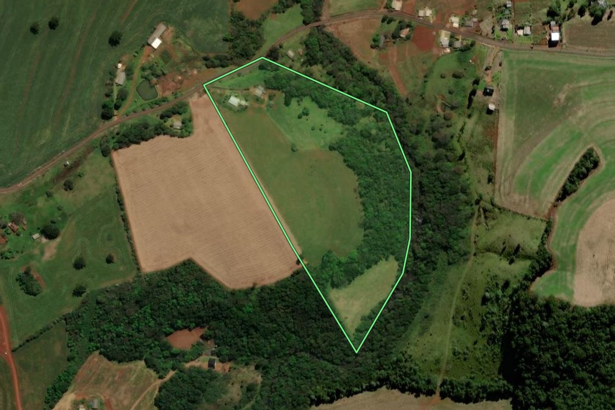 Imagem de satélite do imóvel rural em Chopinzinho (PR), com o contorno declarado no CAR desenhado por cima.