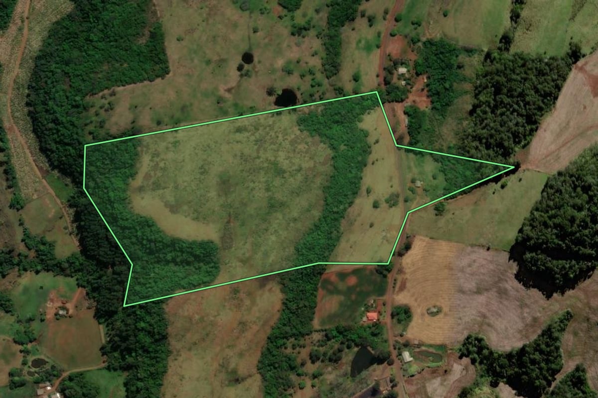 Imagem de satélite do imóvel rural em Chopinzinho (PR), com o contorno declarado no CAR desenhado por cima.