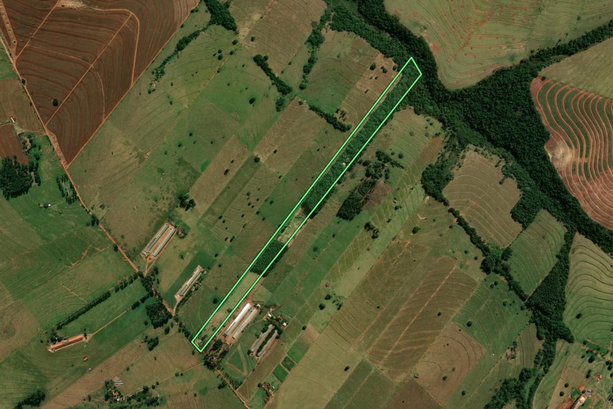 Imagem de satélite do imóvel rural em Cianorte (PR), com o contorno declarado no CAR desenhado por cima.