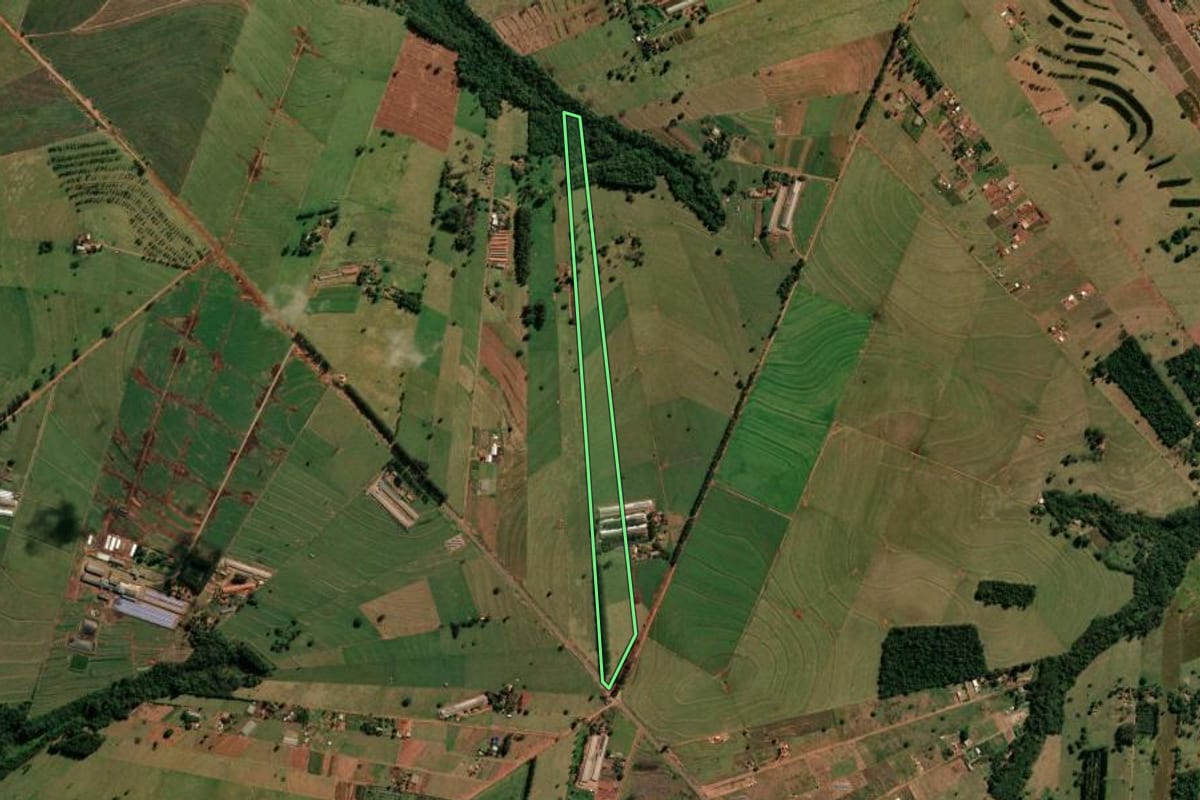 Imagem de satélite do imóvel rural em Cianorte (PR), com o contorno declarado no CAR desenhado por cima.