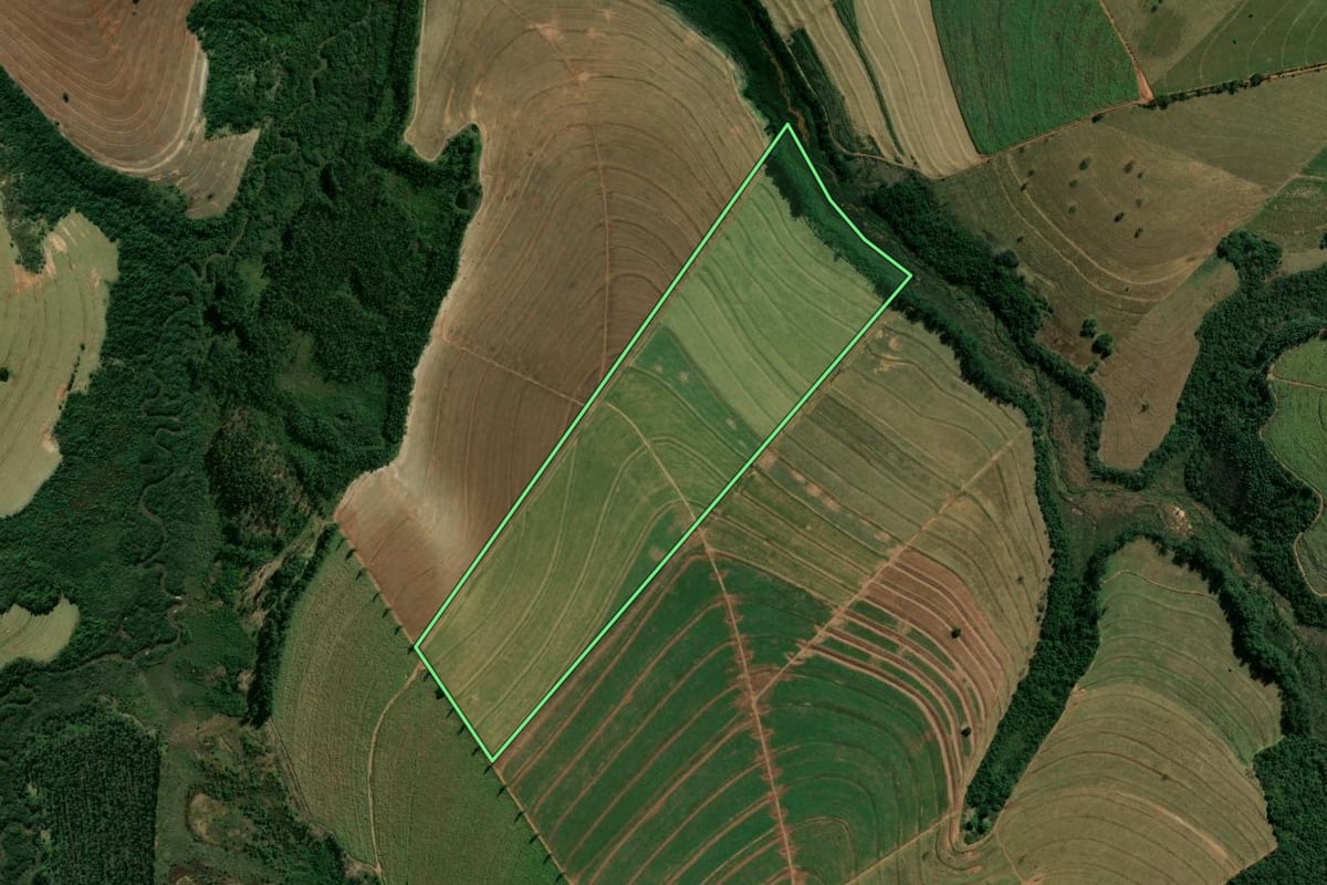 Imagem de satélite do imóvel rural em Cianorte (PR), com o contorno declarado no CAR desenhado por cima.
