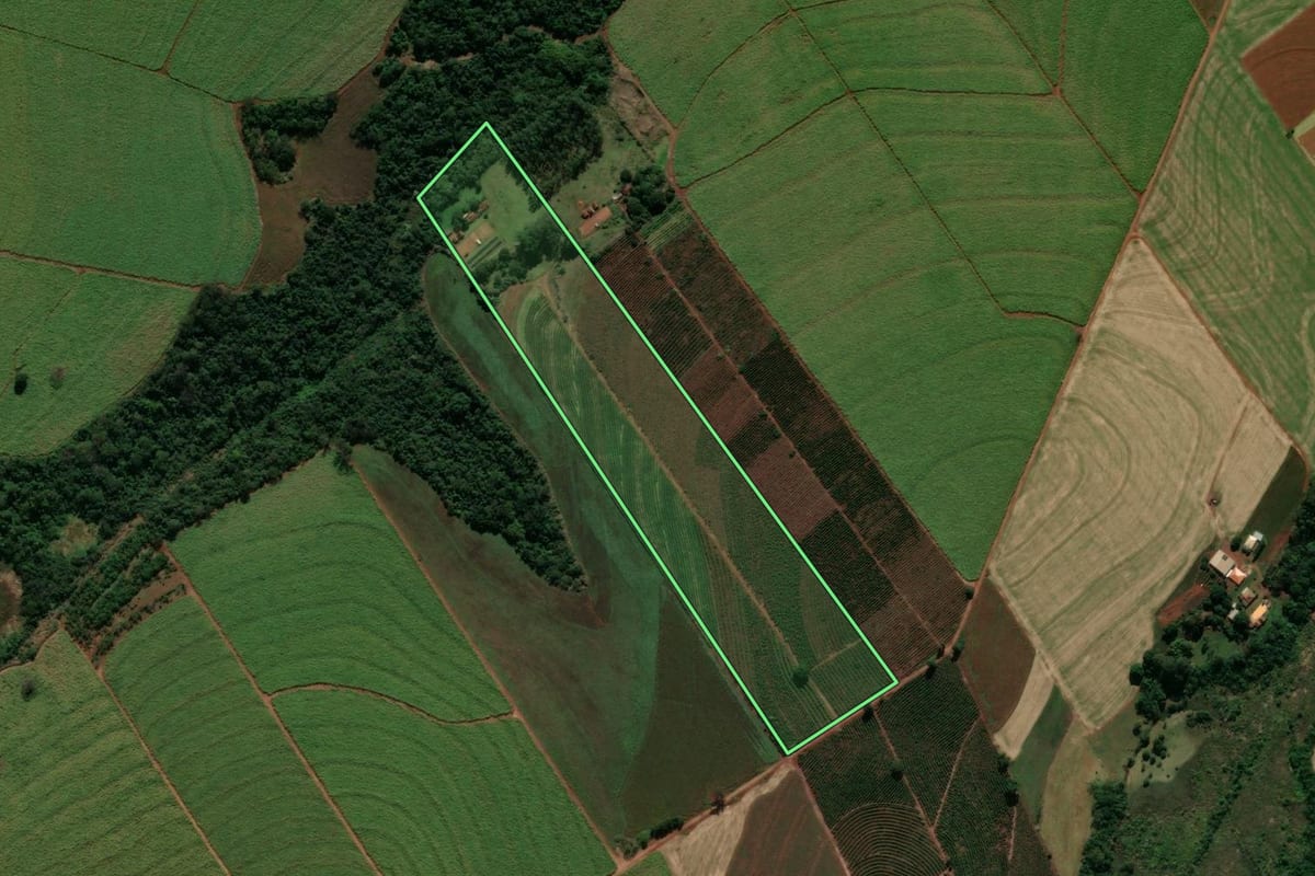 Imagem de satélite do imóvel rural em Cianorte (PR), com o contorno declarado no CAR desenhado por cima.