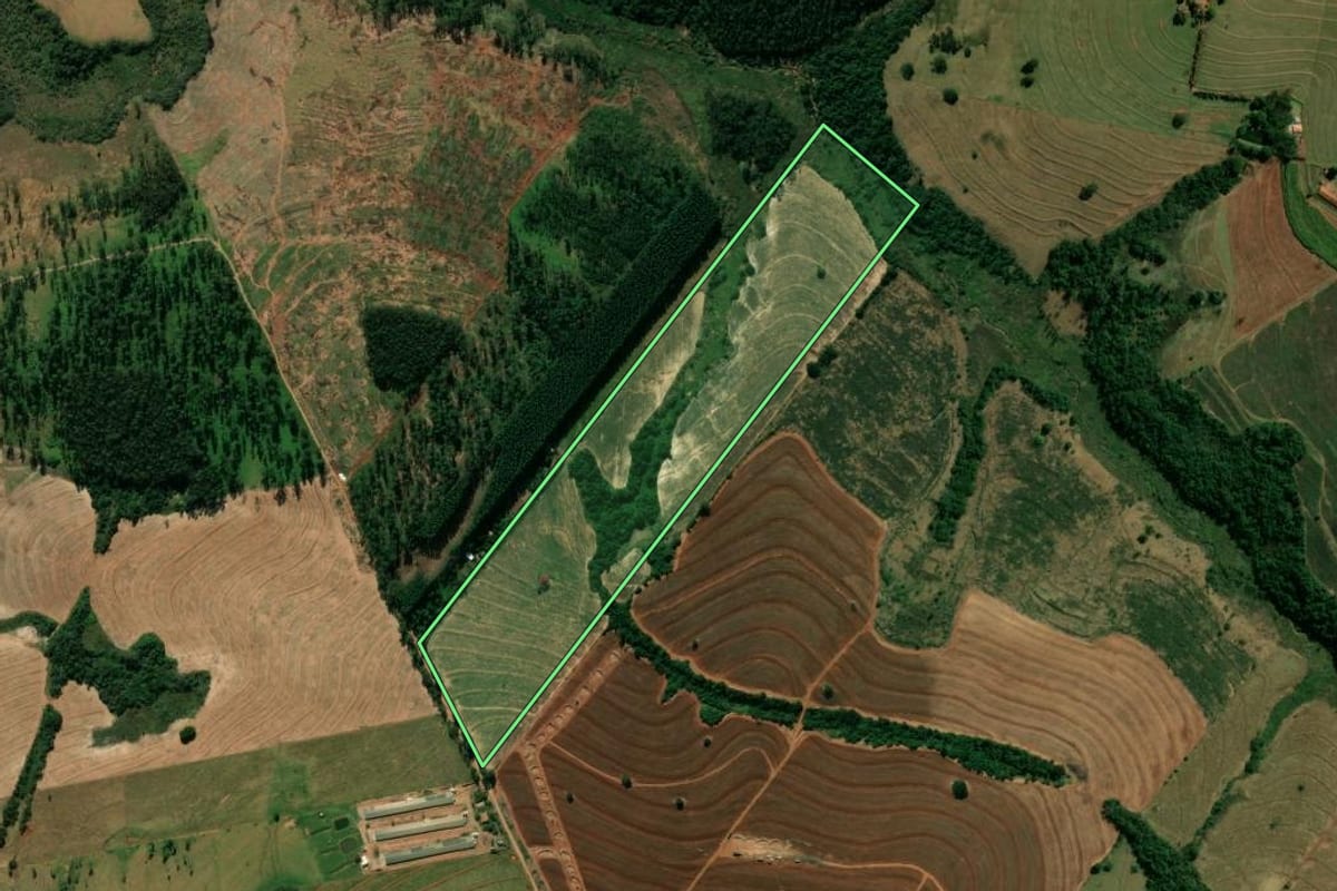 Imagem de satélite do imóvel rural em Cianorte (PR), com o contorno declarado no CAR desenhado por cima.
