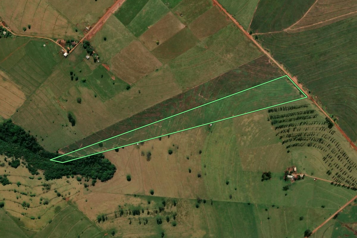Imagem de satélite do imóvel rural em Cianorte (PR), com o contorno declarado no CAR desenhado por cima.