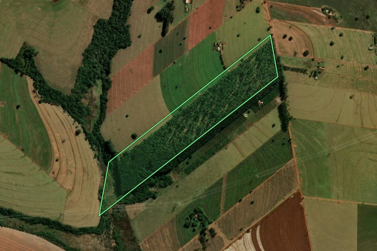 Imagem de satélite do imóvel rural em Cianorte (PR), com o contorno declarado no CAR desenhado por cima.