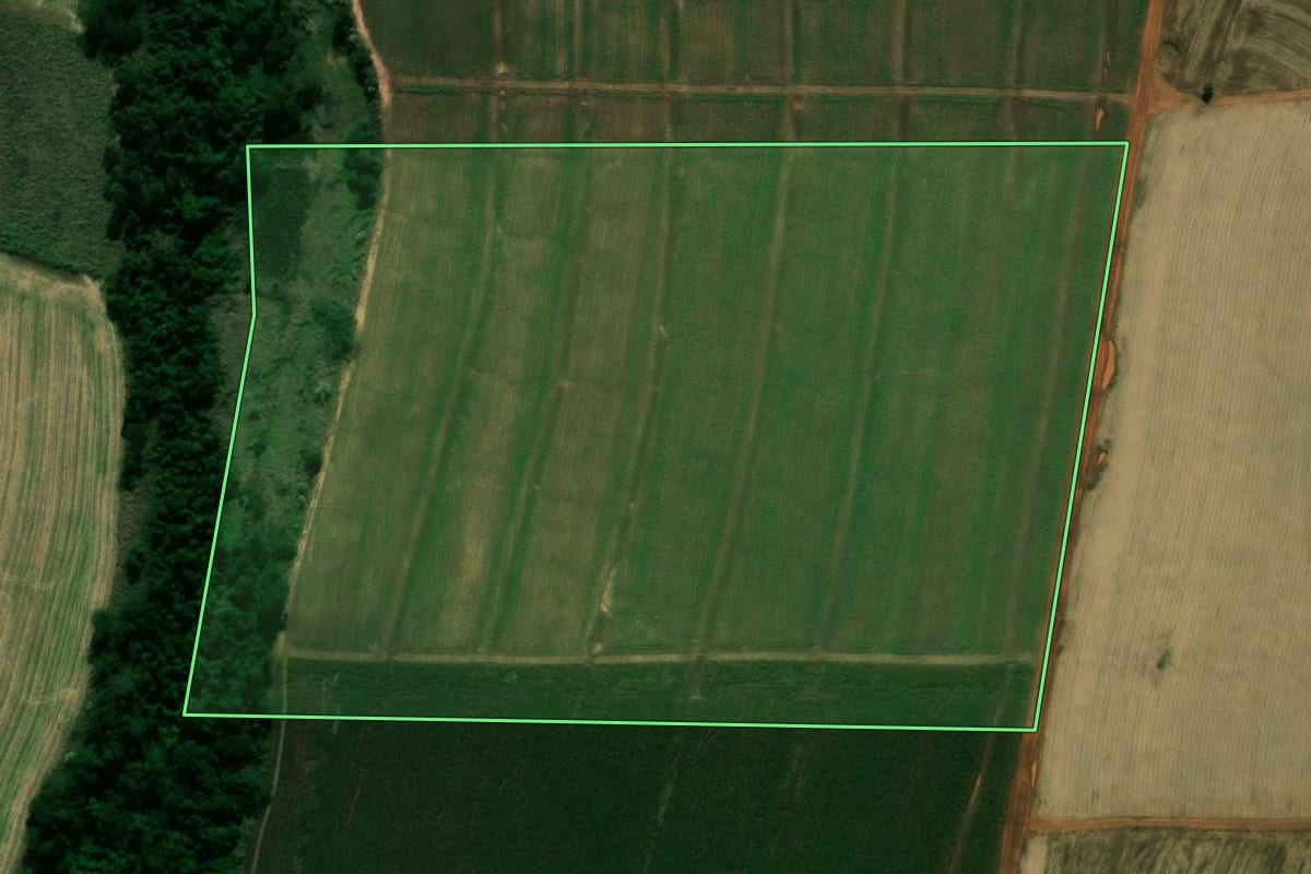 Imagem de satélite do imóvel rural em Cianorte (PR), com o contorno declarado no CAR desenhado por cima.