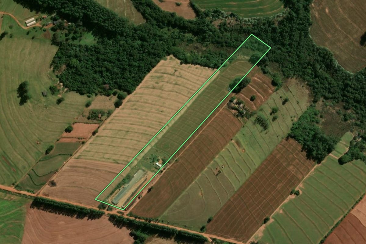 Imagem de satélite do imóvel rural em Cianorte (PR), com o contorno declarado no CAR desenhado por cima.