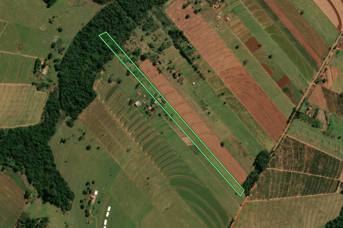 Imagem de satélite do imóvel rural em Cianorte (PR), com o contorno declarado no CAR desenhado por cima.