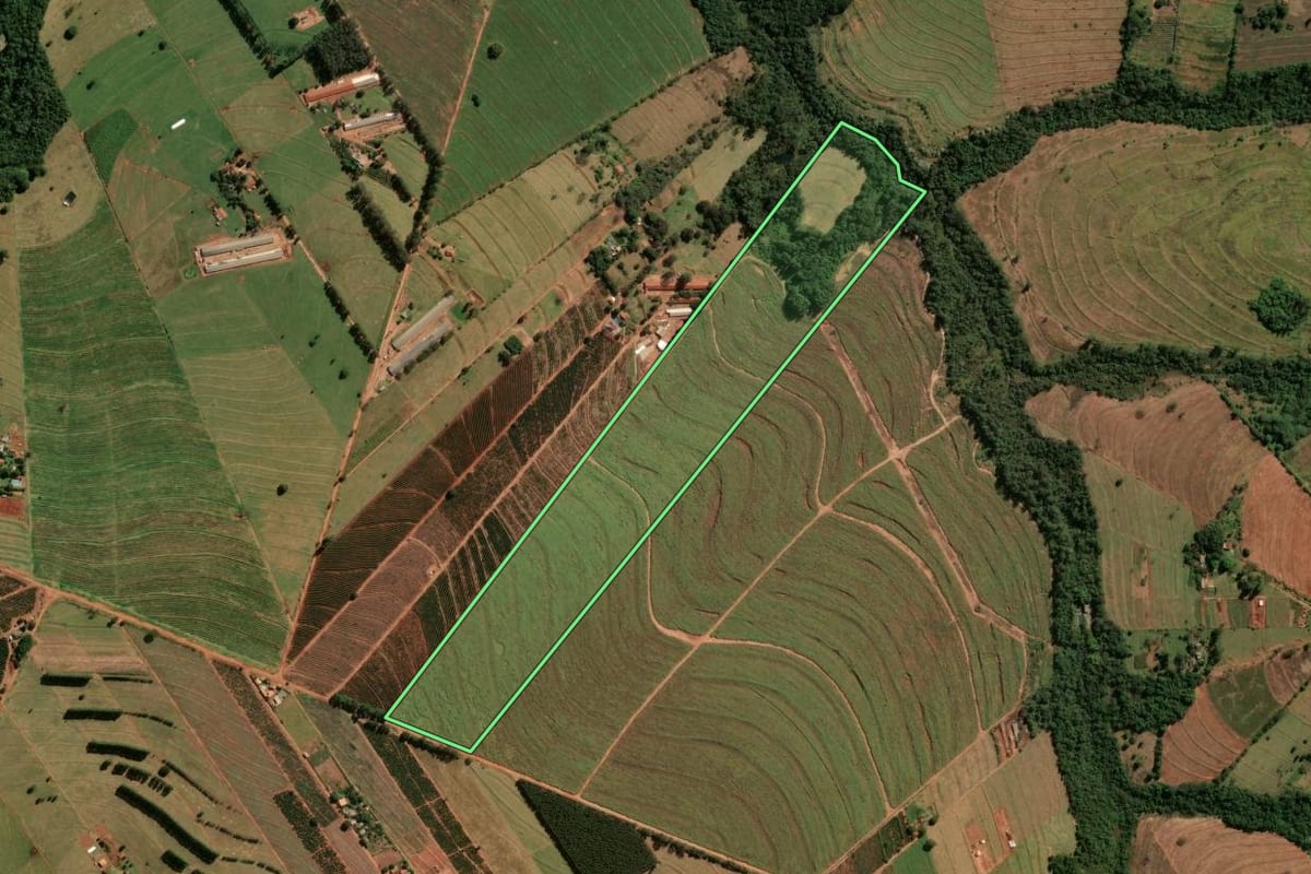Imagem de satélite do imóvel rural em Cianorte (PR), com o contorno declarado no CAR desenhado por cima.