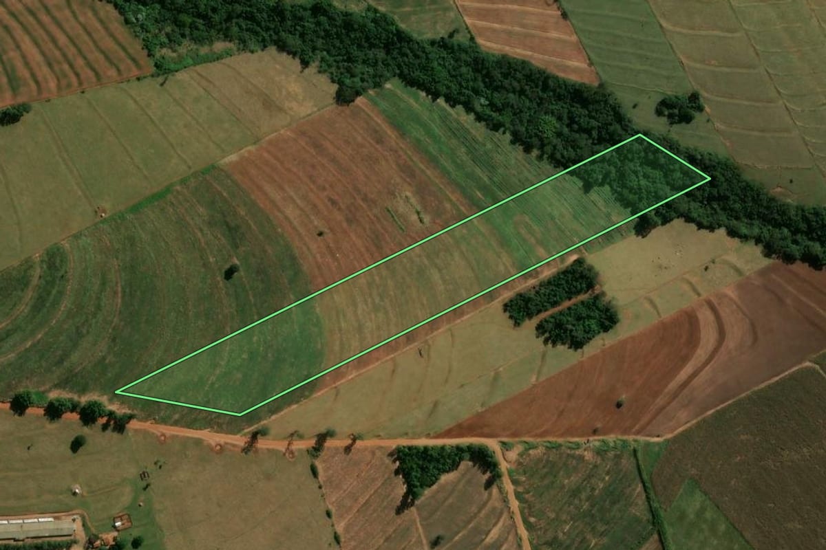Imagem de satélite do imóvel rural em Cianorte (PR), com o contorno declarado no CAR desenhado por cima.