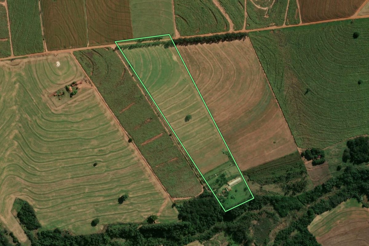 Imagem de satélite do imóvel rural em Cianorte (PR), com o contorno declarado no CAR desenhado por cima.