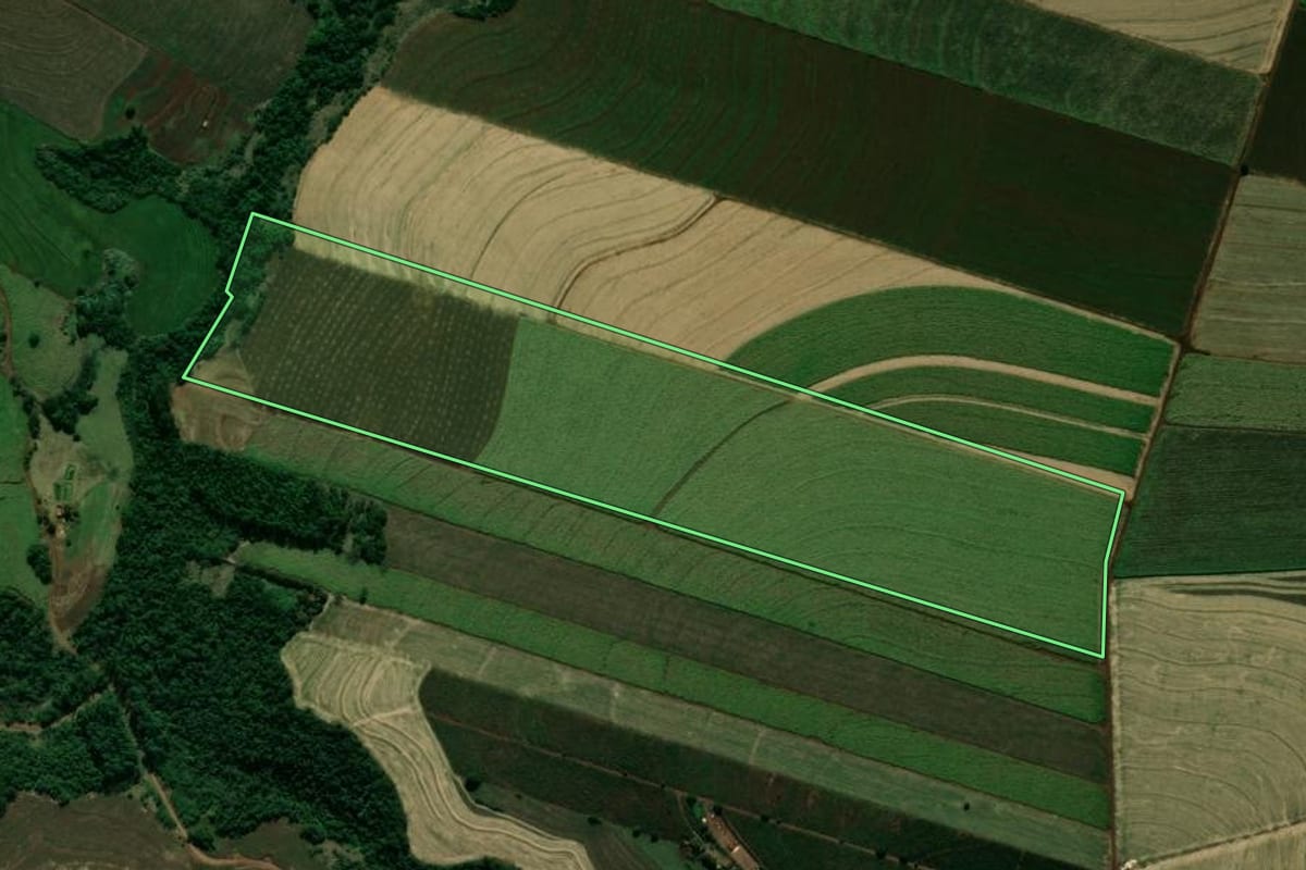 Imagem de satélite do imóvel rural em Cianorte (PR), com o contorno declarado no CAR desenhado por cima.