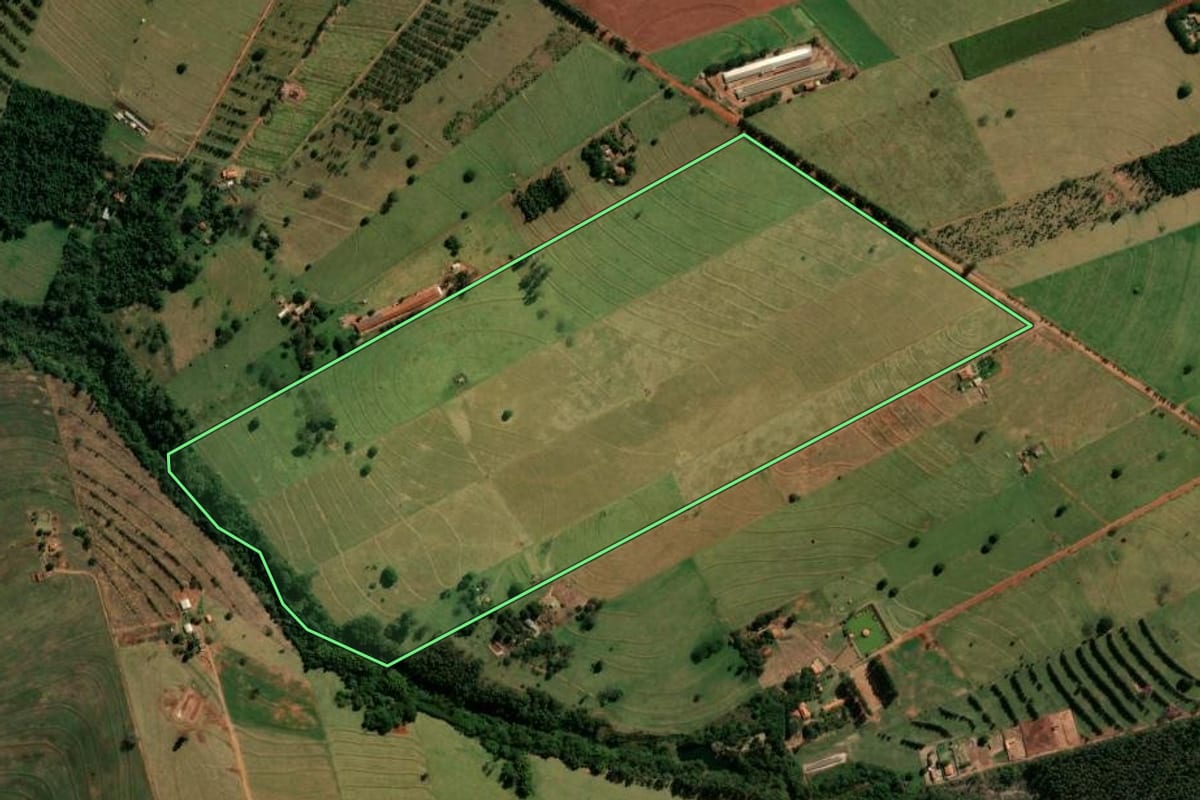 Imagem de satélite do imóvel rural em Cianorte (PR), com o contorno declarado no CAR desenhado por cima.