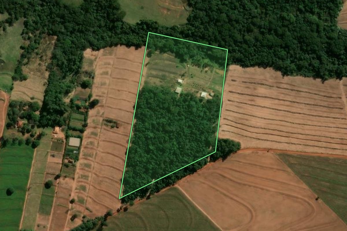 Imagem de satélite do imóvel rural em Cianorte (PR), com o contorno declarado no CAR desenhado por cima.