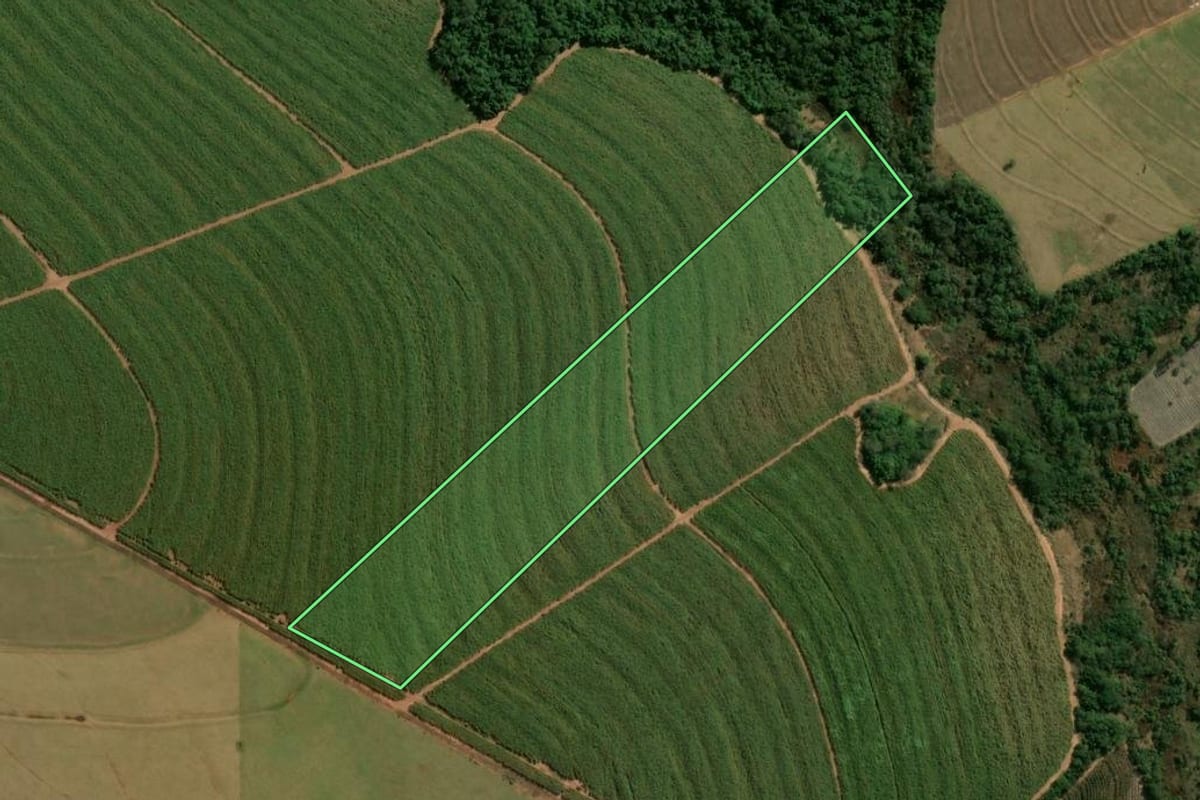 Imagem de satélite do imóvel rural em Cianorte (PR), com o contorno declarado no CAR desenhado por cima.