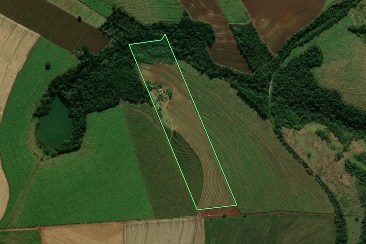 Imagem de satélite do imóvel rural em Cianorte (PR), com o contorno declarado no CAR desenhado por cima.